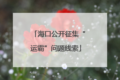 海口公开征集“运霸”问题线索