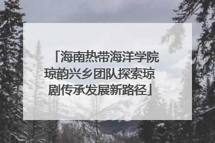 海南热带海洋学院琼韵兴乡团队探索琼剧传承发展新路径