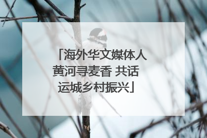 海外华文媒体人黄河寻麦香 共话运城乡村振兴