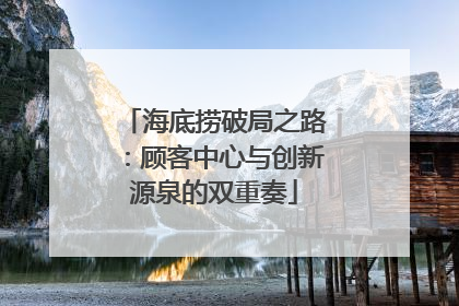 海底捞破局之路：顾客中心与创新源泉的双重奏
