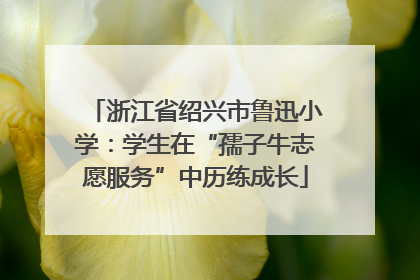 浙江省绍兴市鲁迅小学：学生在“孺子牛志愿服务”中历练成长