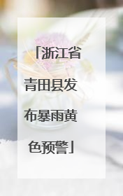 浙江省青田县发布暴雨黄色预警