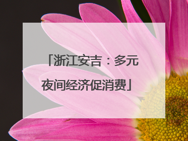 浙江安吉：多元夜间经济促消费