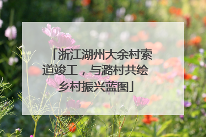 浙江湖州大余村索道竣工，与潞村共绘乡村振兴蓝图