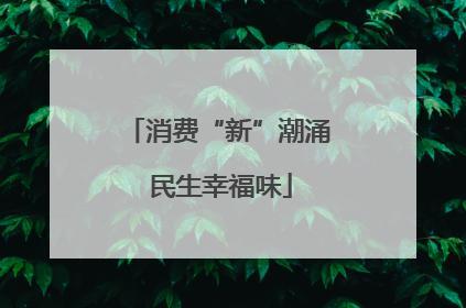 消费“新”潮涌 民生幸福味