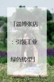 淄博张店：引领工业绿色转型