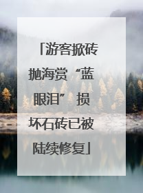 游客掀砖抛海赏“蓝眼泪” 损坏石砖已被陆续修复