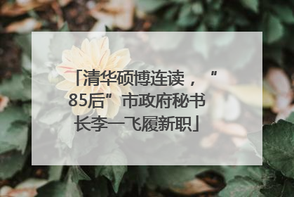 清华硕博连读，“85后”市政府秘书长李一飞履新职