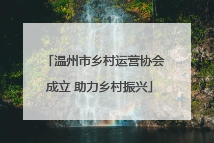 温州市乡村运营协会成立 助力乡村振兴