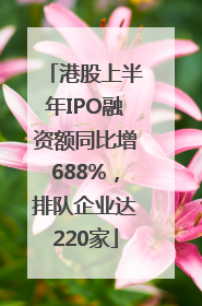 港股上半年IPO融资额同比增688%，排队企业达220家