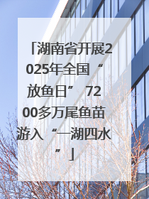 湖南省开展2025年全国“放鱼日” 7200多万尾鱼苗游入“一湖四水”