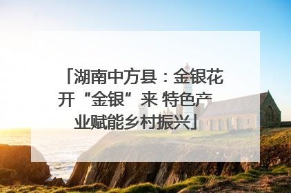 湖南中方县：金银花开“金银”来 特色产业赋能乡村振兴