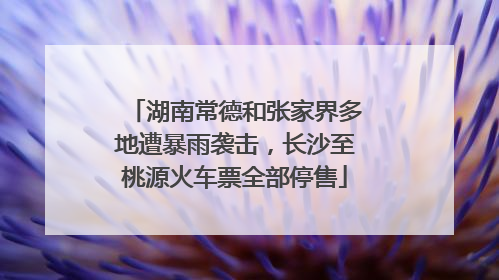 湖南常德和张家界多地遭暴雨袭击，长沙至桃源火车票全部停售