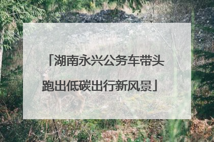 湖南永兴公务车带头跑出低碳出行新风景
