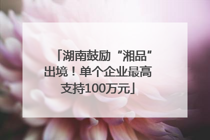 湖南鼓励“湘品”出境！单个企业最高支持100万元