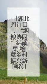 湖北丹江口：“烟粮协同”结硕果 绘就乡村振兴新画卷