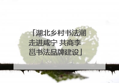湖北乡村书法潮走进咸宁 共商李邕书法品牌建设