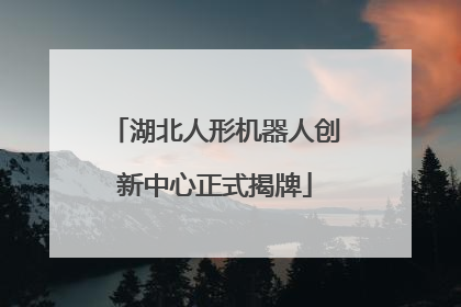 湖北人形机器人创新中心正式揭牌