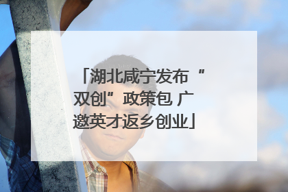 湖北咸宁发布“双创”政策包 广邀英才返乡创业
