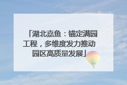 湖北嘉鱼：锚定满园工程，多维度发力推动园区高质量发展