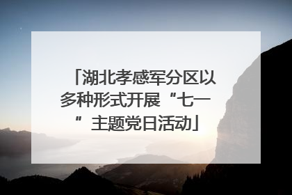 湖北孝感军分区以多种形式开展“七一”主题党日活动