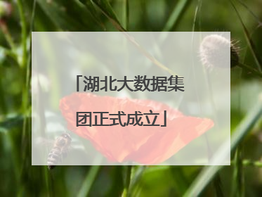湖北大数据集团正式成立