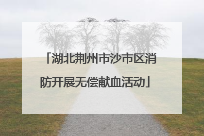 湖北荆州市沙市区消防开展无偿献血活动