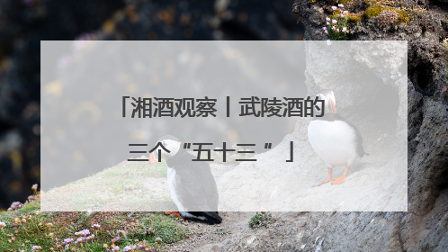 湘酒观察丨武陵酒的三个“五十三 ”