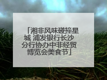 湘非风味碰撞星城 浦发银行长沙分行协办中非经贸博览会美食节