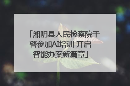 湘阴县人民检察院干警参加AI培训 开启智能办案新篇章