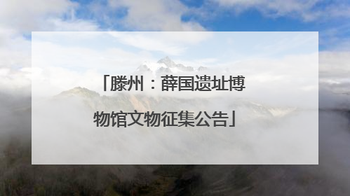 滕州：薛国遗址博物馆文物征集公告