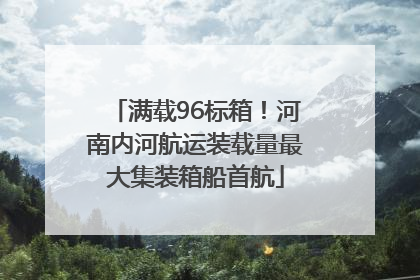 满载96标箱！河南内河航运装载量最大集装箱船首航