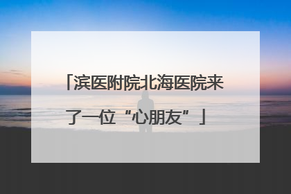 滨医附院北海医院来了一位“心朋友”