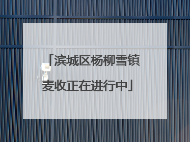 滨城区杨柳雪镇麦收正在进行中