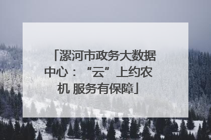 漯河市政务大数据中心：“云”上约农机 服务有保障
