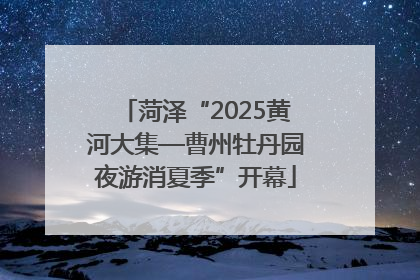 菏泽“2025黄河大集—曹州牡丹园夜游消夏季”开幕