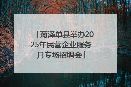 菏泽单县举办2025年民营企业服务月专场招聘会