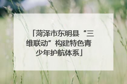 菏泽市东明县“三维联动”构建特色青少年护航体系
