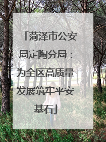 菏泽市公安局定陶分局：为全区高质量发展筑牢平安基石