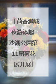 荷香满城夜游添趣 沙湖公园第11届荷花展开展