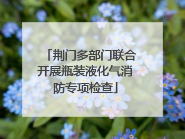 荆门多部门联合开展瓶装液化气消防专项检查