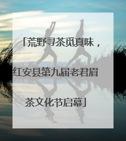 荒野寻茶觅真味，红安县第九届老君眉茶文化节启幕