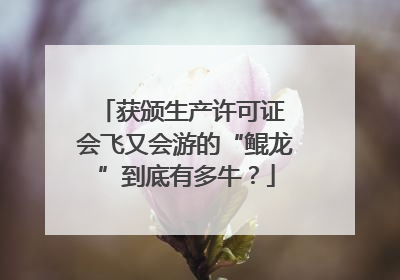 获颁生产许可证 会飞又会游的“鲲龙”到底有多牛？
