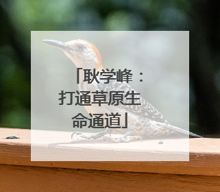 耿学峰：打通草原生命通道
