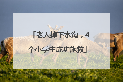 老人掉下水沟，4个小学生成功施救