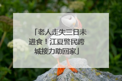 老人走失三日未进食！江夏警民跨城接力助回家