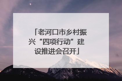 老河口市乡村振兴“四项行动”建设推进会召开