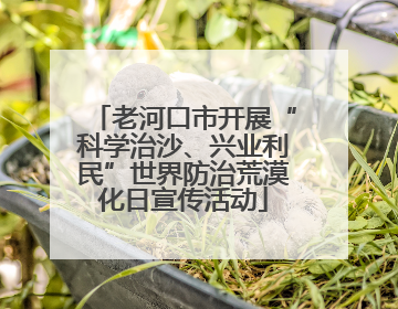 老河口市开展“科学治沙、兴业利民”世界防治荒漠化日宣传活动