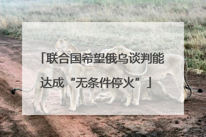 联合国希望俄乌谈判能达成“无条件停火”