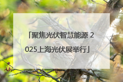 聚焦光伏智慧能源 2025上海光伏展举行
